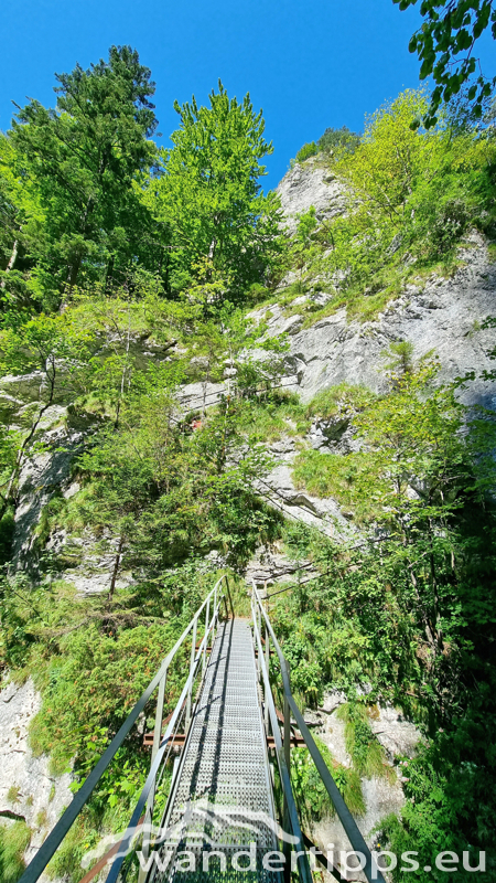 Hochbärneck Abbildung 8