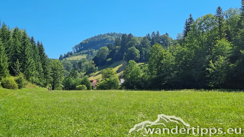 Hochbärneck Abbildung 10