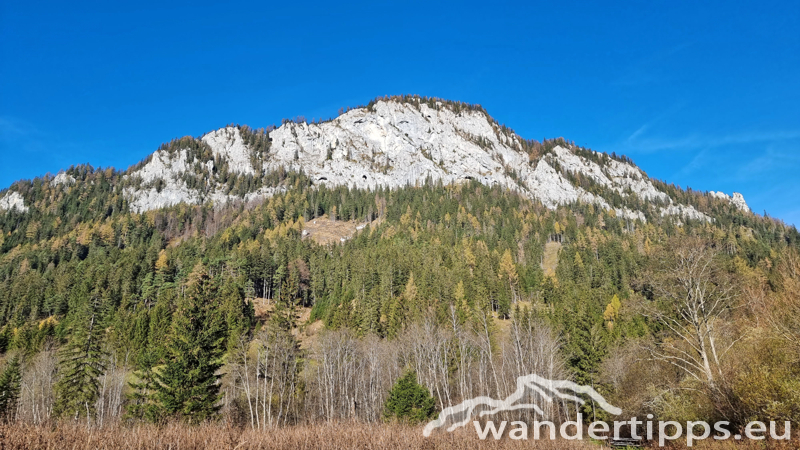 Spielmäuer Abbildung 1