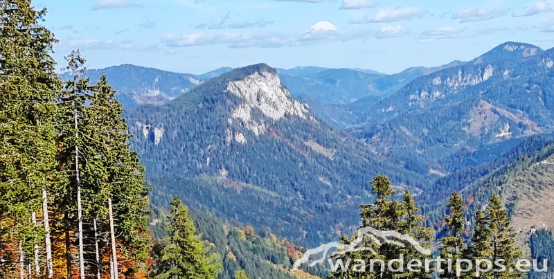 Spielmäuer Abbildung 2