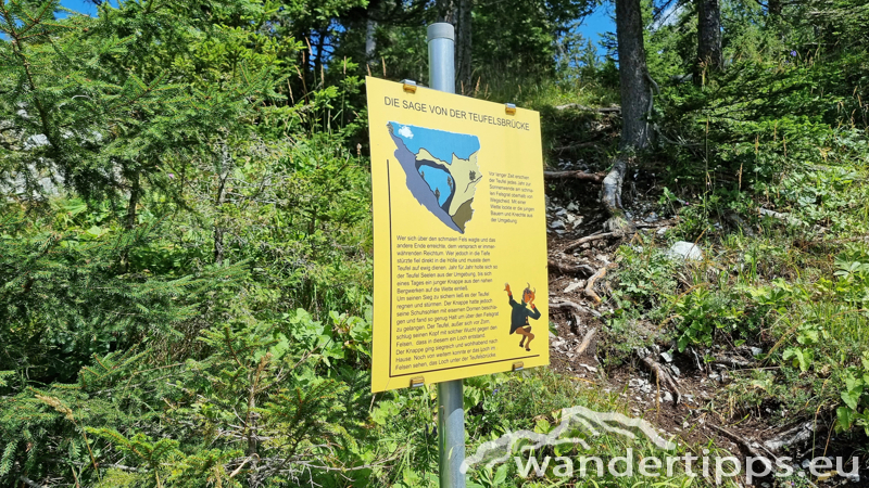 Spielmäuer Abbildung 12