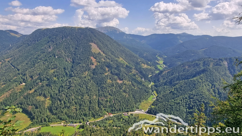 Spielmäuer Abbildung 15