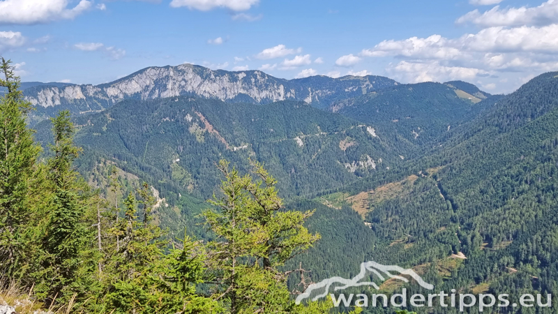 Spielmäuer Abbildung 16