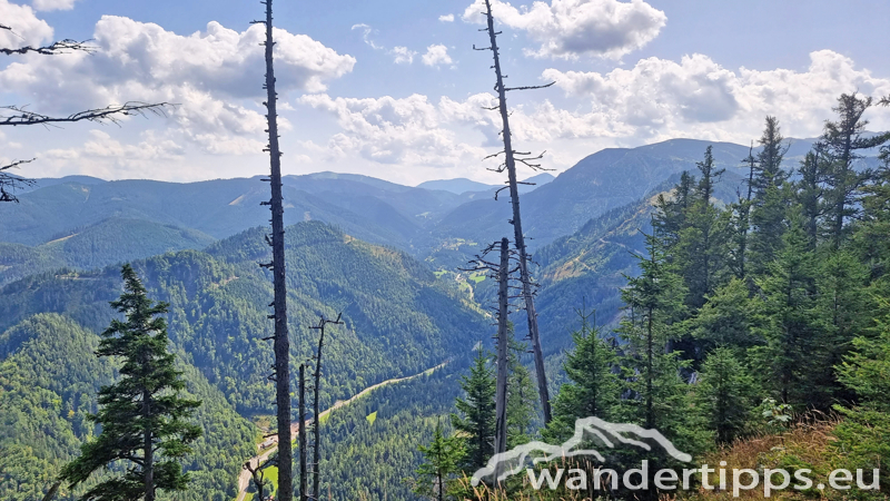 Spielmäuer Abbildung 17