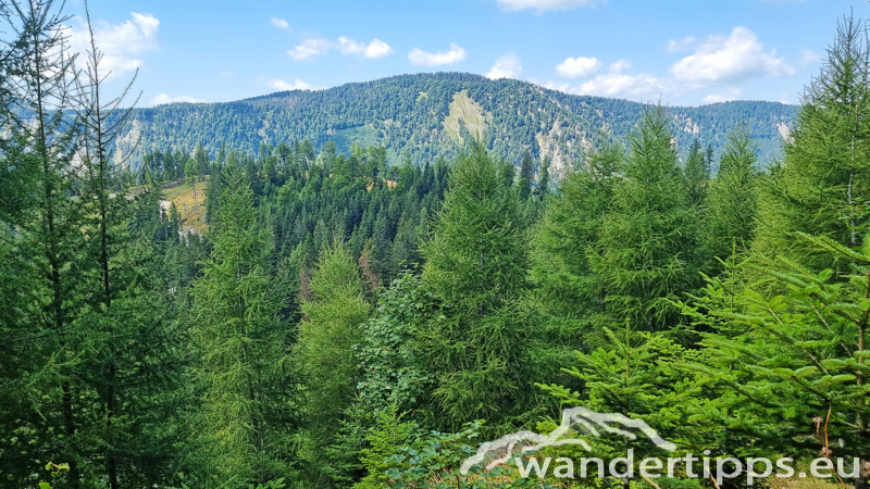 Spielmäuer Abbildung 18