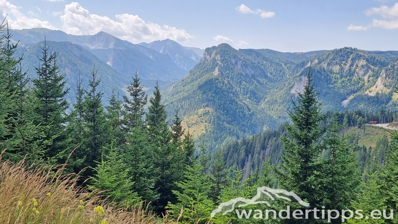 Spielmäuer Abbildung 19