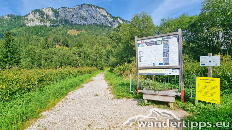 Spielmäuer Abbildung 3