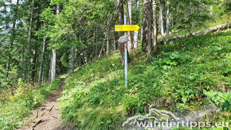 Spielmäuer Abbildung 6