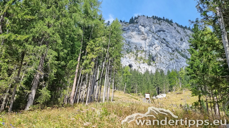 Spielmäuer Abbildung 7