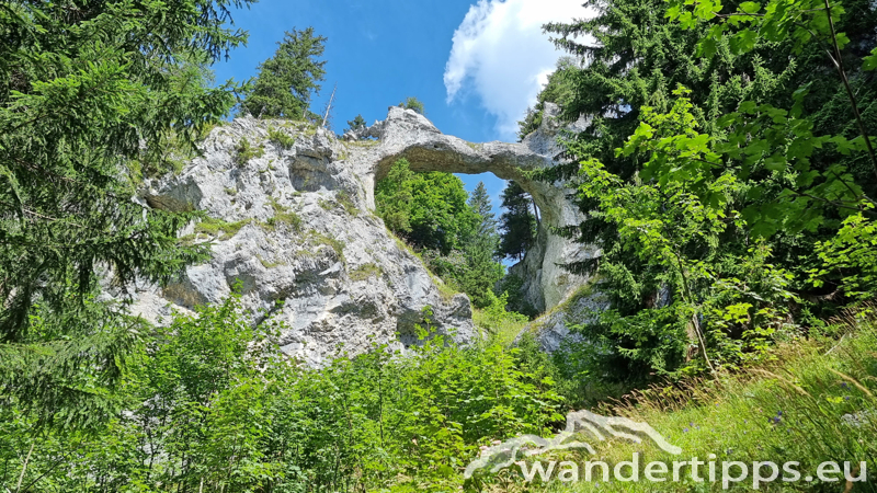 Spielmäuer Abbildung 9