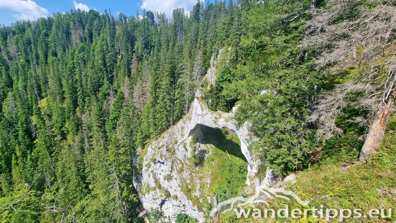 Spielmäuer Abbildung 10