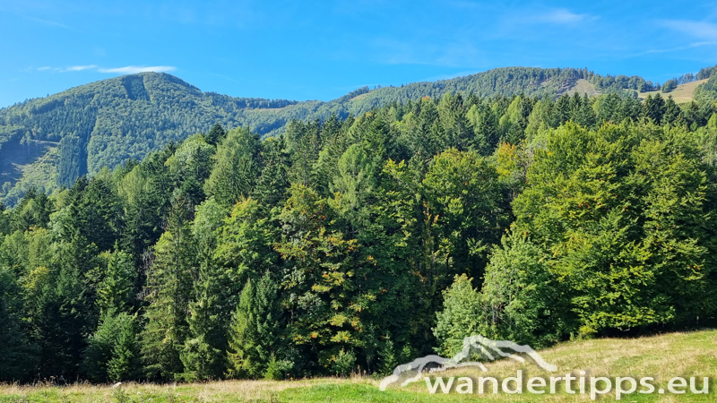 Hohe Dirn Abbildung 7