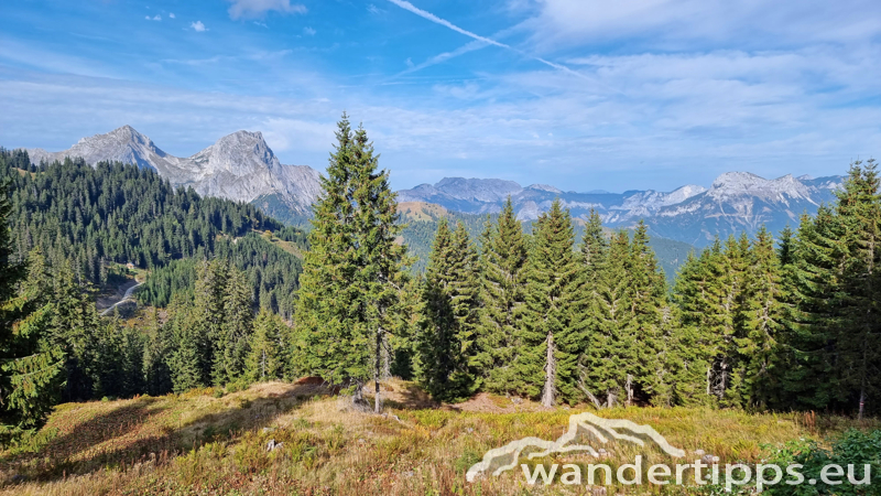 Kragelschinken Abbildung 12