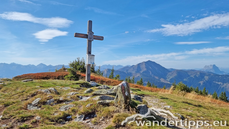 Kragelschinken Abbildung 15