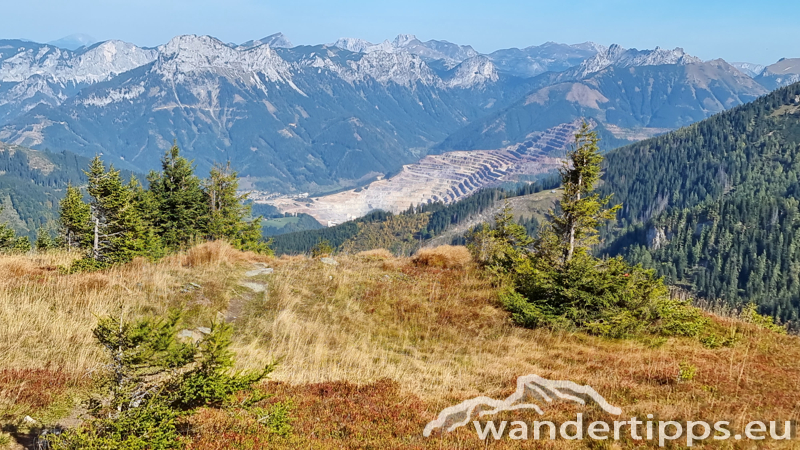 Kragelschinken Abbildung 17