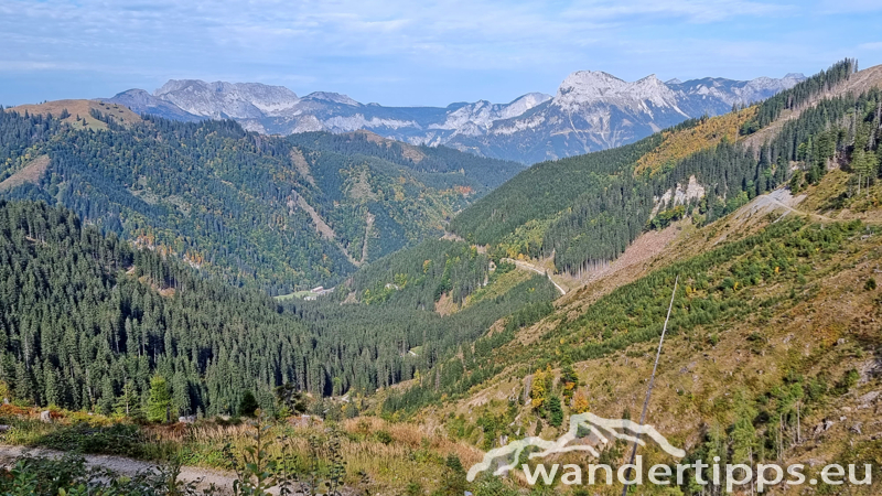 Kragelschinken Abbildung 23