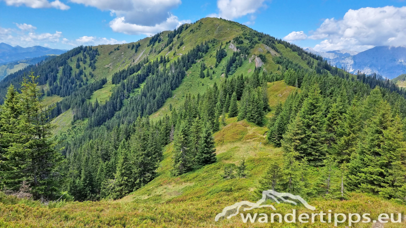 Kragelschinken Abbildung 5