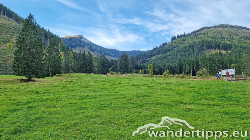 Kragelschinken Abbildung 6