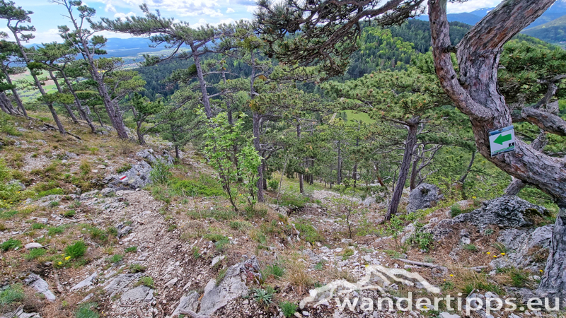 Kienberg/Fischauer Berge Abbildung 13