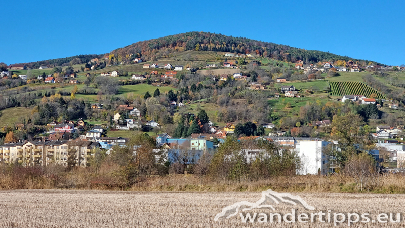 Ringkogel Abbildung 1