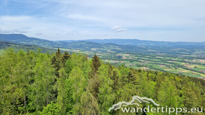 Ringkogel Abbildung 16