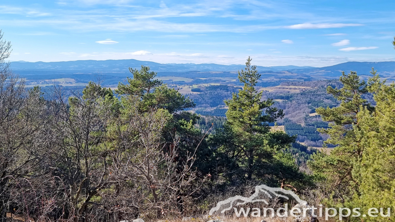 Kienberg/Wenzelanger Abbildung 11