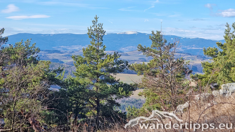 Kienberg/Wenzelanger Abbildung 12