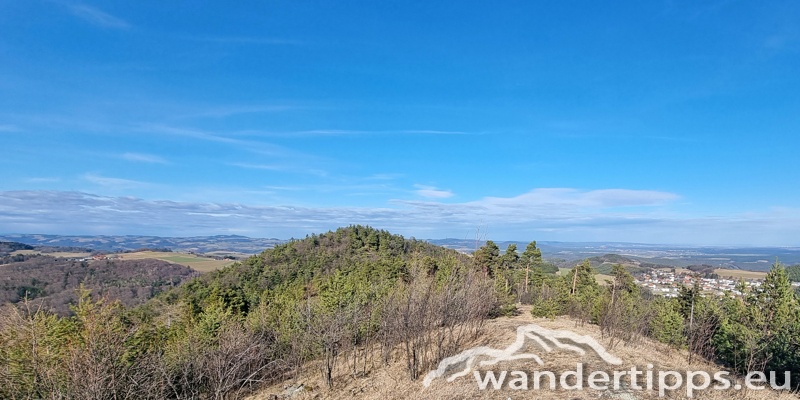 Kienberg/Wenzelanger Abbildung 16