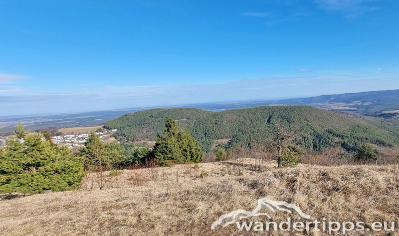 Kienberg/Wenzelanger Abbildung 17