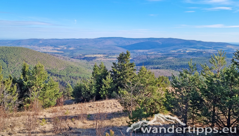 Kienberg/Wenzelanger Abbildung 18