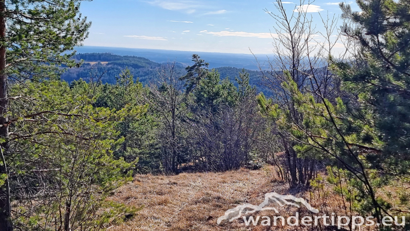 Kienberg/Wenzelanger Abbildung 19