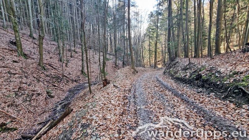 Kienberg/Wenzelanger Abbildung 20