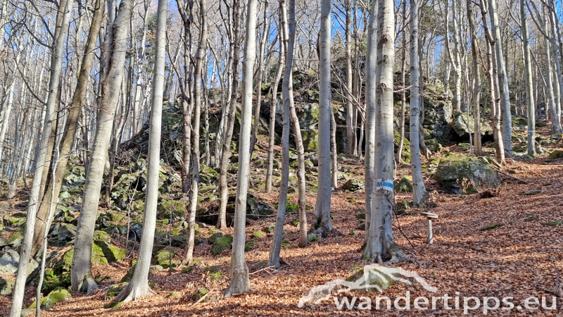 Kienberg/Wenzelanger Abbildung 5