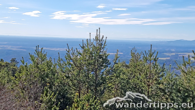 Kienberg/Wenzelanger Abbildung 8