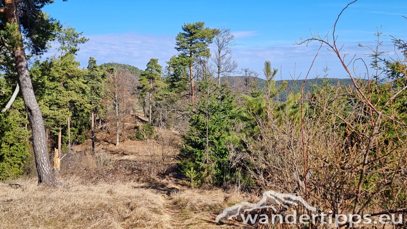 Kienberg/Wenzelanger Abbildung 9