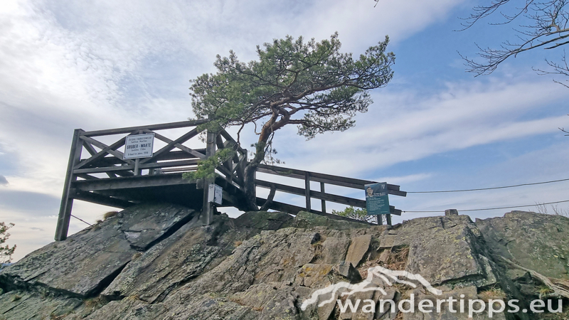 Buschandlwand Abbildung 15