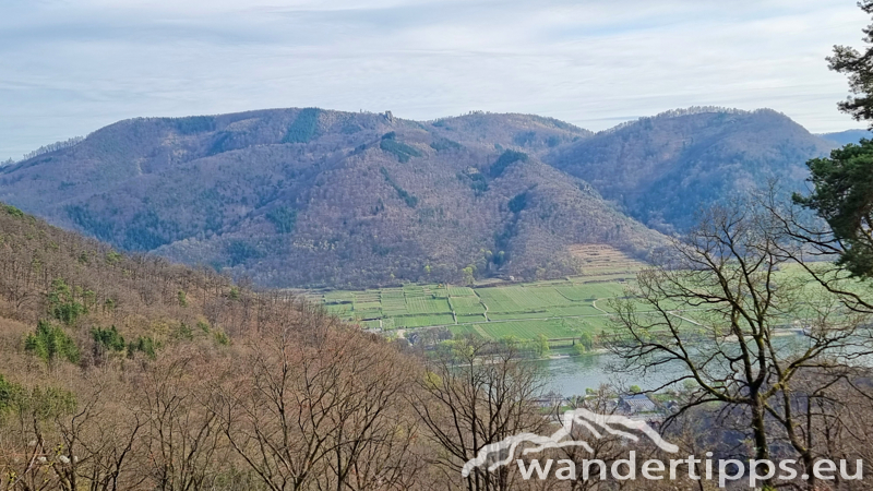 Buschandlwand Abbildung 20