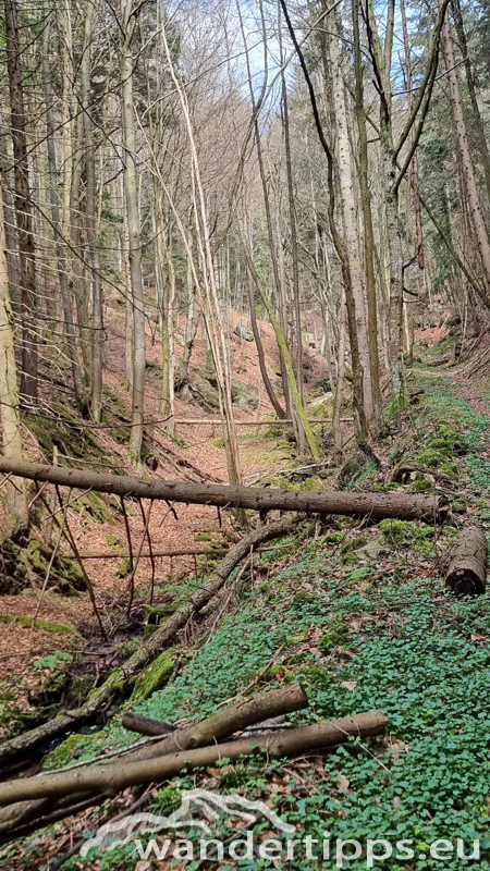 Buschandlwand Abbildung 8