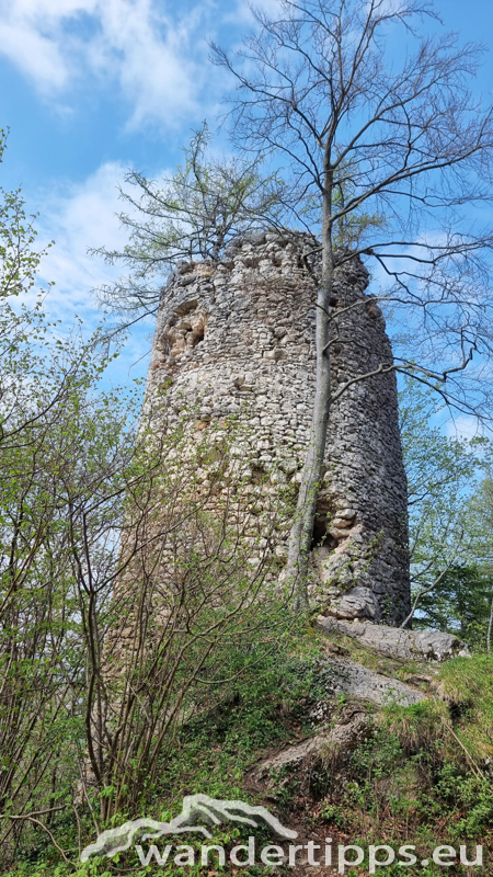 Hirschwaldstein Abbildung 11