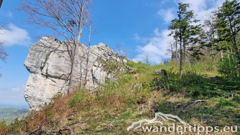 Hirschwaldstein Abbildung 12