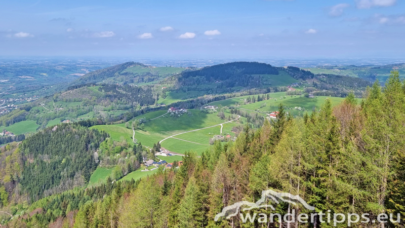 Hirschwaldstein Abbildung 17