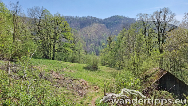 Hirschwaldstein Abbildung 19
