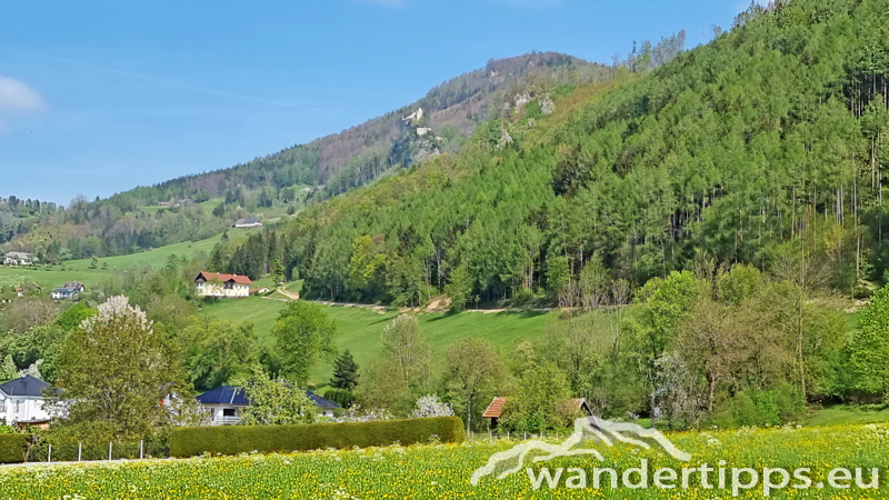 Hirschwaldstein Abbildung 3