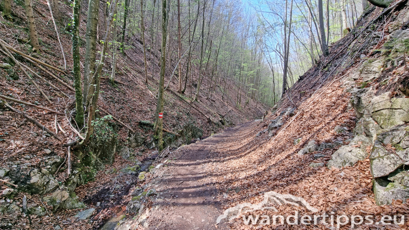 Hirschwaldstein Abbildung 21
