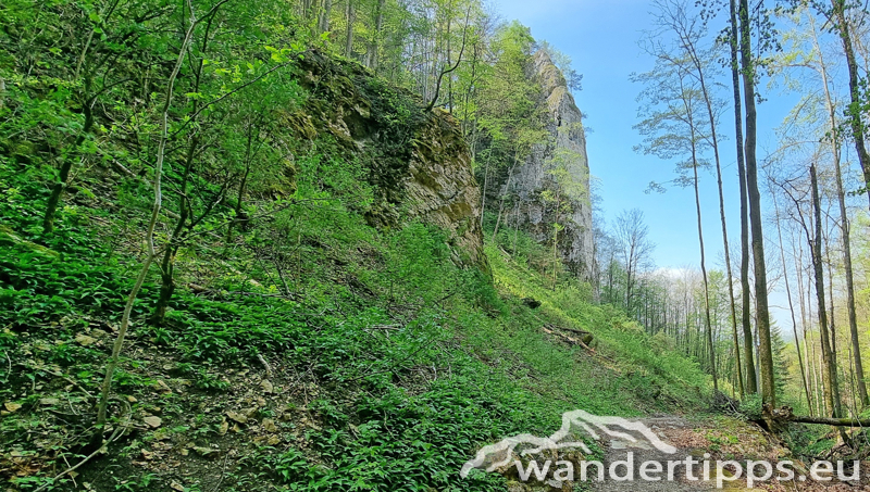 Hirschwaldstein Abbildung 22