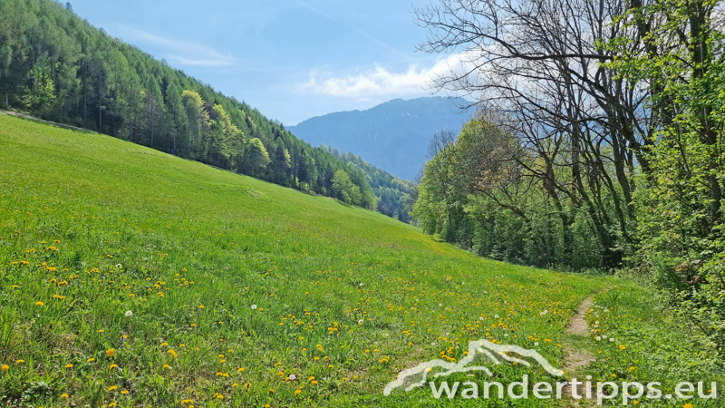 Hirschwaldstein Abbildung 24