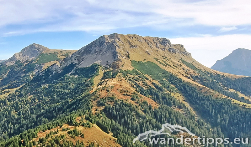 Wildfeld Abbildung 1