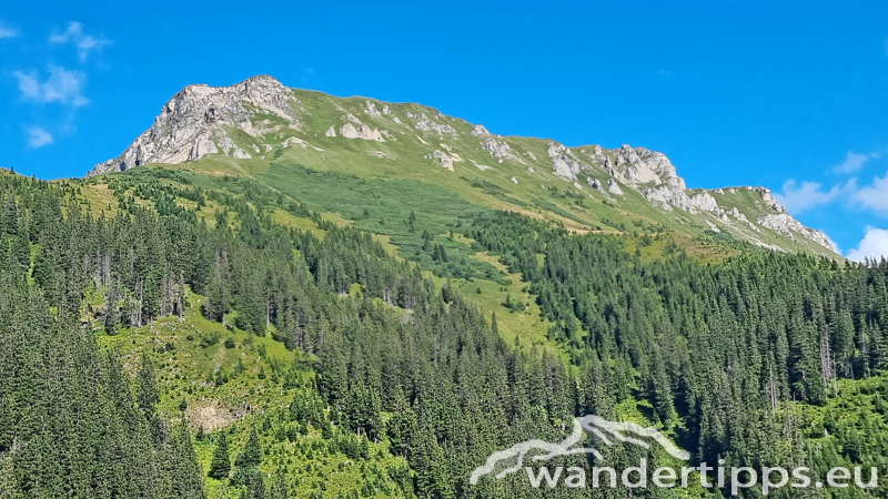 Wildfeld Abbildung 4