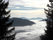 Trenchtling/Hochturm Abbildung 4