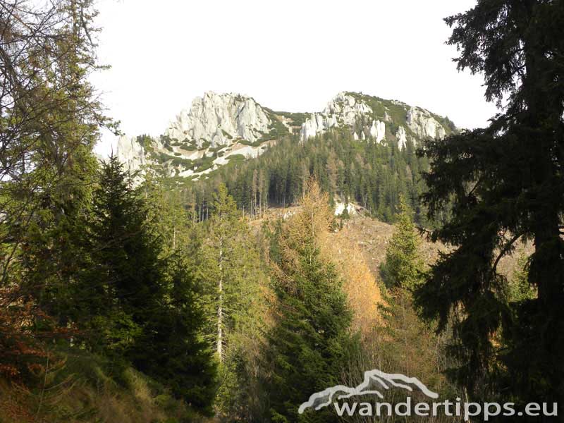 Trenchtling/Hochturm Abbildung 3